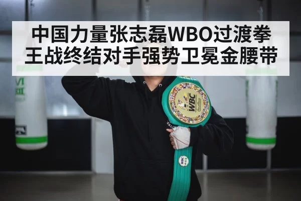 中国力量张志磊WBO过渡拳王战终结对手强势卫冕金腰带