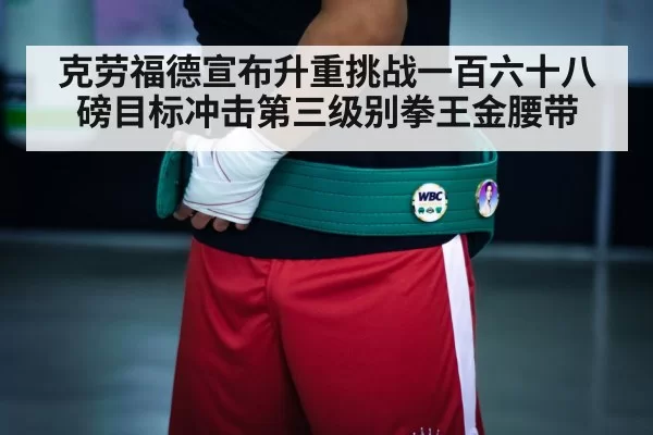 boxing championship belt