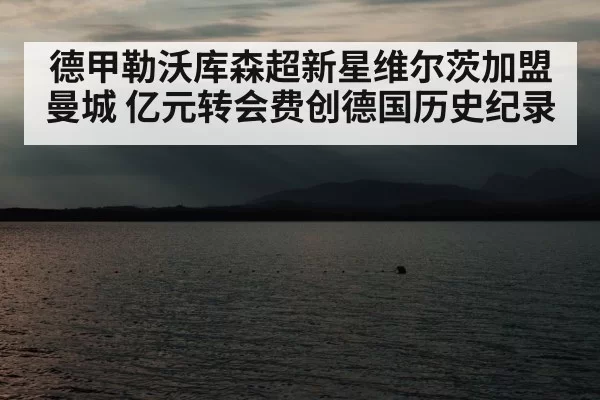 德甲勒沃库森超新星维尔茨加盟曼城 亿元转会费创德国历史纪录