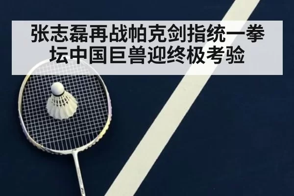 张志磊再战帕克剑指统一拳坛中国巨兽迎终极考验
